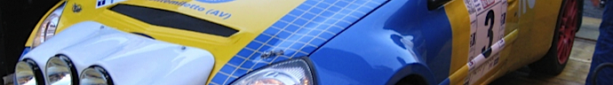 auto_rally